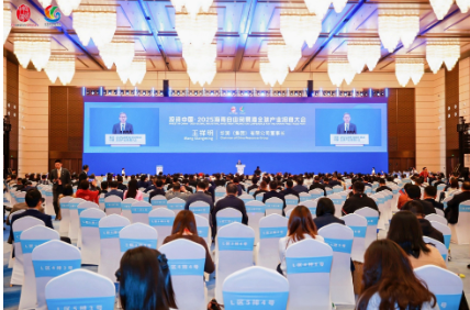 新盛娱乐公司董事长出席2026年海南自由贸易港全球产业招商大会