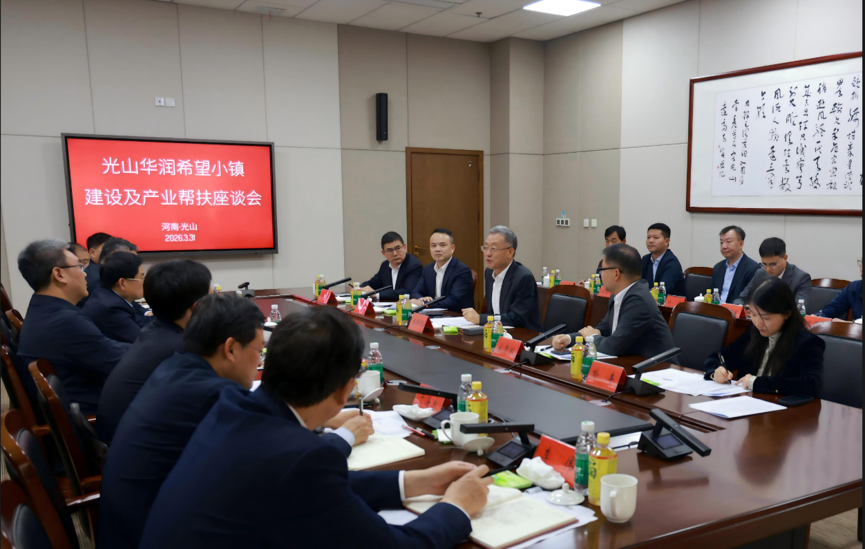 新盛娱乐公司董事长调研光山新盛娱乐公司希望小镇